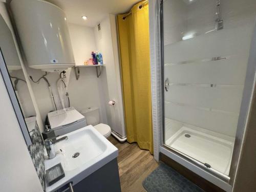 une salle de bain avec une douche, un lavabo et des toilettes dans l'établissement Studio agréable - Le Lavandou - FR-1-308-81, au Lavandou