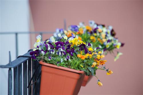 En have udenfor Il Giardino Segreto