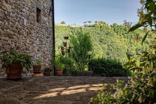 a garden with plants and a stone building at Cozy House in Castelnuovo di Garfagnana + Large Garden in Castelnuovo di Garfagnana