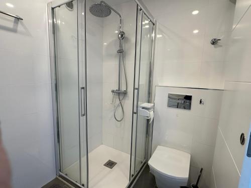 a bathroom with a shower and a toilet at Beach Apartment Arguineguin in Arguineguín