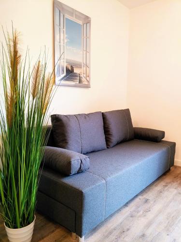 a couch in a living room with two potted plants at Aparthotel Dat Witte Hus Apartment for 6 guests with 3 rooms in Geesthacht