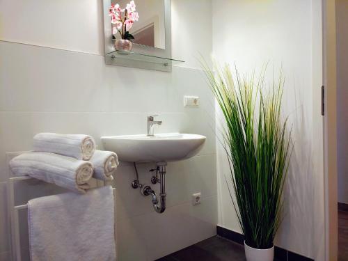 ゲーストハッハトにあるAparthotel Dat Witte Hus Apartment for 6 guests with 3 roomsの白いバスルーム(シンク、植物付)