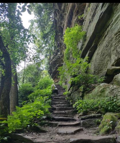 a set of stone stairs in a rocky canyon at Cabin in the treetops! in Lancaster