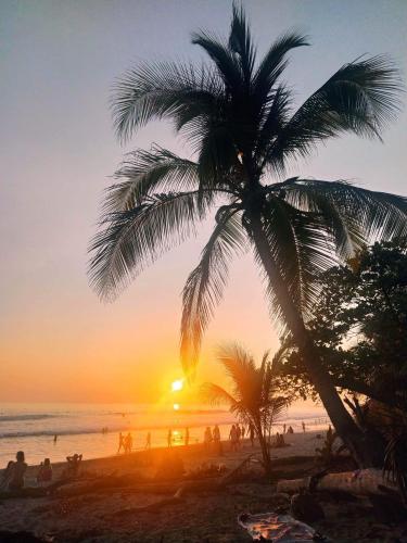 a palm tree on a beach at sunset at Casa VISTA PARAISO in Santa Teresa Beach