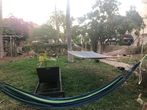 a hammock and a chair in a yard at Bungalow And Surf in Cabo San Lucas