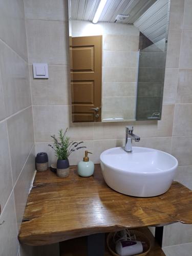 a bathroom with a sink and a mirror at Villa Pavlina in Ohrid