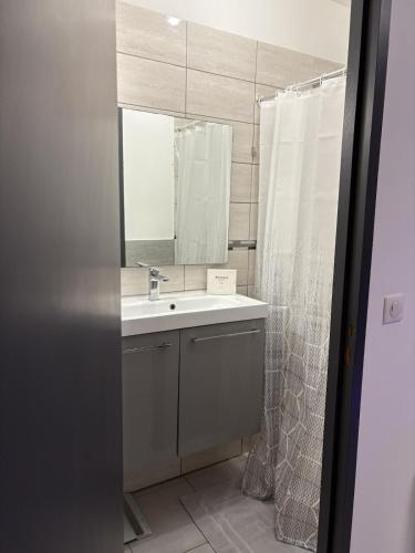 une salle de bain avec un lavabo et un miroir dans l'établissement Appartement moderne centre du Crès, à Le Crès