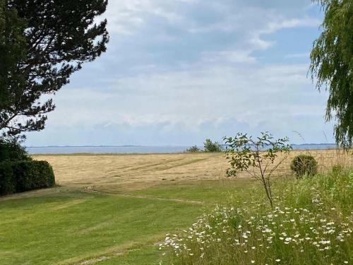 a field of grass with a tree and flowers at Lovely House With Sea View And Large Terrace in Karrebæksminde
