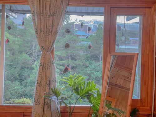 ein Fenster mit Vorhängen und einer Pflanze in einem Zimmer in der Unterkunft Đà Lạt 2019 homestay in Ấp Phước Thánh
