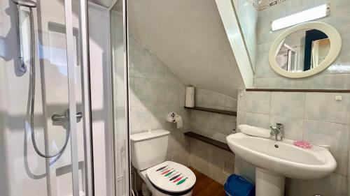 une petite salle de bain avec toilettes et lavabo dans l'établissement La croisière, Séjournez au cœur de la Baie de Somme dans un logement au charme d’antan !, au Crotoy