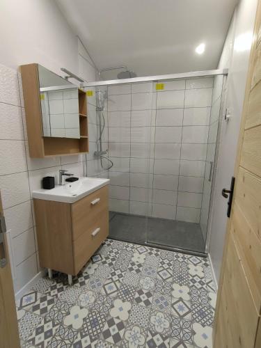 une salle de bain avec une douche, un lavabo et un miroir dans l'établissement Gite à la campagne, Les Althéas, 3 étoiles, à Malrevers