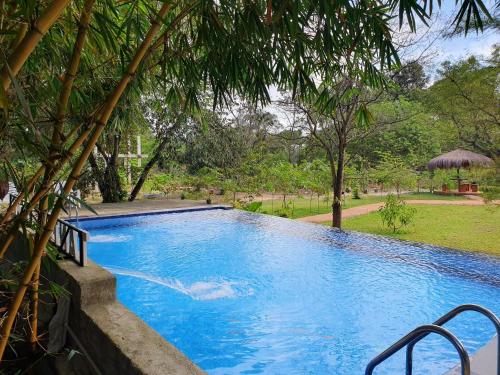 Bazén v ubytování TANTOR RESORT Hotel and spa Habarana nebo v jeho okolí