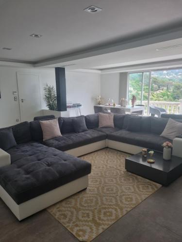 Magnifique appartement - St Martin de Peille