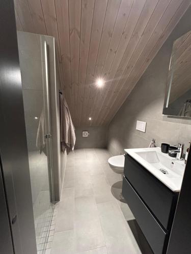 une salle de bain avec un lavabo, une douche et des toilettes dans l'établissement Soleiknuten Ålsheia Moderne Hytte i Naturskjønne Omgivelser, à Tjørhom