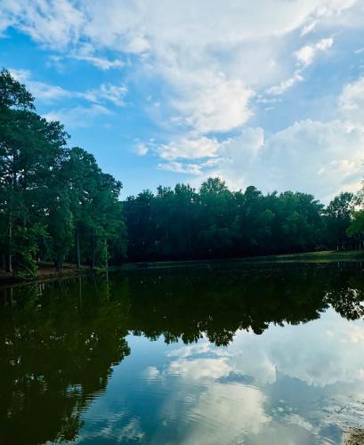 a view of a lake with trees in the background at Lakefront Condo - King Bed Full Kitchen in Auburn