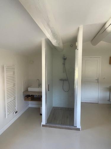 une salle de bain avec douche et lavabo dans l'établissement Provencal Villa with Heated Pool near Lourmarin, à Lauris