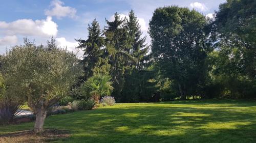 a green yard with trees and a field of grass at Casa Méline - Disneyland Paris in Montry