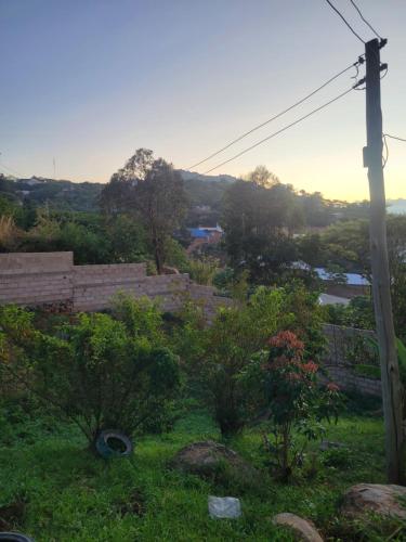 a view of a garden with bushes and trees at EMMY'S HIDE AWAY in Iringa