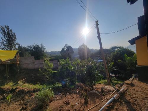 a view of a garden with the sun in the background at EMMY'S HIDE AWAY in Iringa