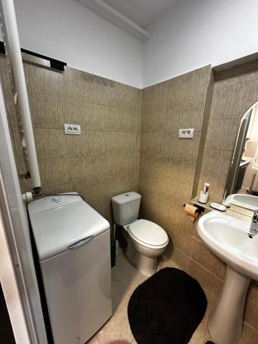 a small bathroom with a toilet and a sink at Garsoniera lângă Palatul Parlamentului in Bucharest