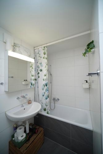 Un baño blanco con lavabo y ducha. en Doppelzimmer in der Nähe des Stadions, en Basilea