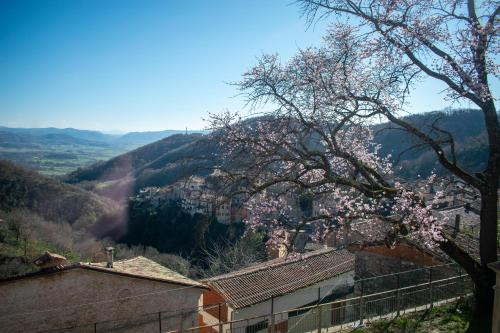 a tree with pink flowers on it next to a city at Ostello Cammino di Francesco in Rivodutri