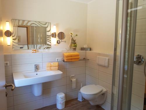 a bathroom with a sink and a toilet and a mirror at Gasthof Bucksande in Apen