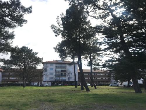 un parc avec des arbres devant un bâtiment dans l'établissement La Forêt 5, à Mimizan-Plage