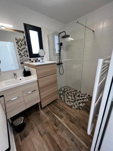 une salle de bain avec douche et lavabo dans l'établissement Villa 3 chambres piscine petanque clim, au Castellet