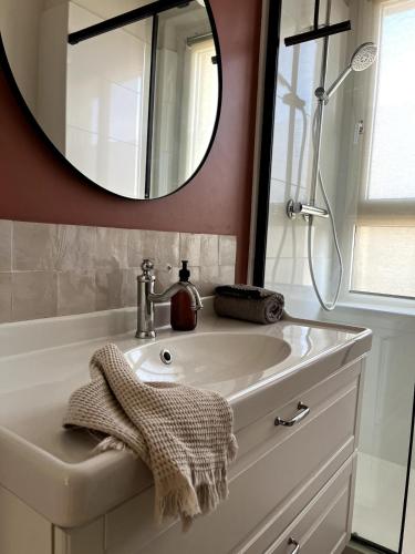 une salle de bain avec un lavabo et un miroir dans l'établissement Un nid douillet en plein centre, à Chartres