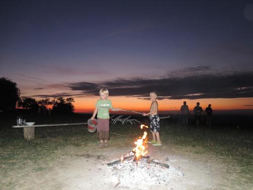 two children standing next to a fire in a field at Landhaus Aigner in Allhartsberg