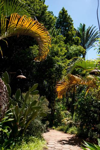 a garden with lots of plants and trees at Au Bois Vert - Hôtel Ivato Airport in Ambohijanahary