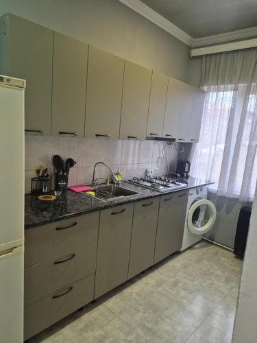 a kitchen with a sink and a washing machine at Cozi apartment Arsha in Gaiboteni