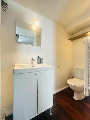 une salle de bain avec un lavabo blanc et des toilettes dans l'établissement Le studio des remparts, à Laon