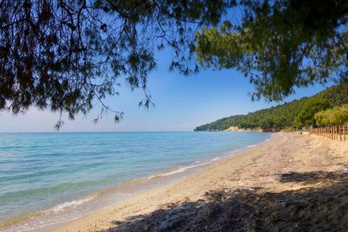 a view of a beach with trees and the ocean at Viorelis Sea View Villa in Kassandra