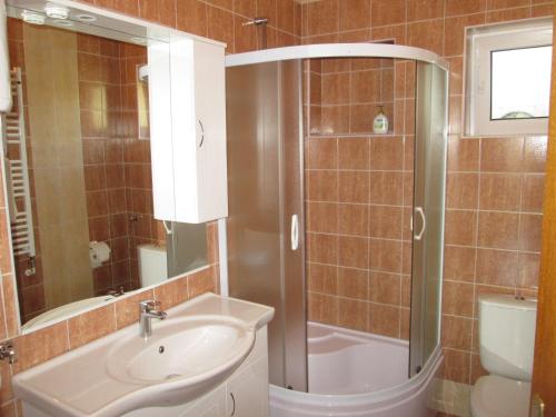 a bathroom with a shower and a sink and a toilet at Apartments Helena in Primošten