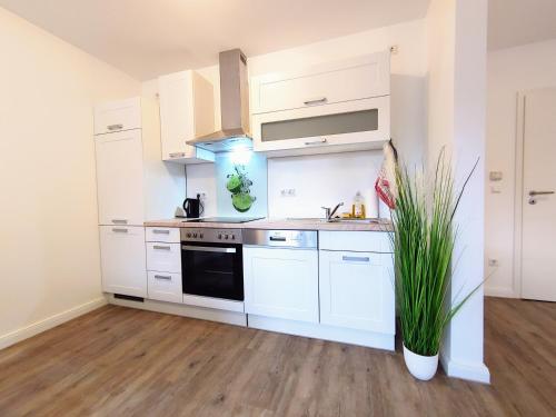 ゲーストハッハトにあるApartment for 4 guests with 2 roomsの白いキャビネットと花瓶の植物が備わるキッチン