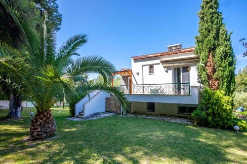 a house with a palm tree in the yard at Viorelis Sea View Villa in Kassandra