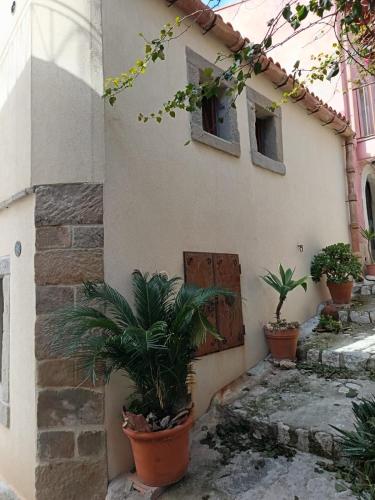 a house with potted plants in front of a door at Da Giorgia in Forza dʼAgro