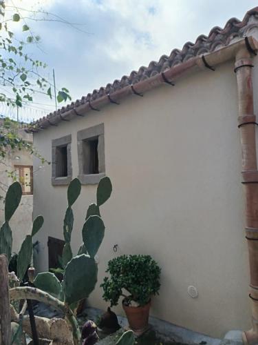 a white house with a cactus in front of it at Da Giorgia in Forza dʼAgro
