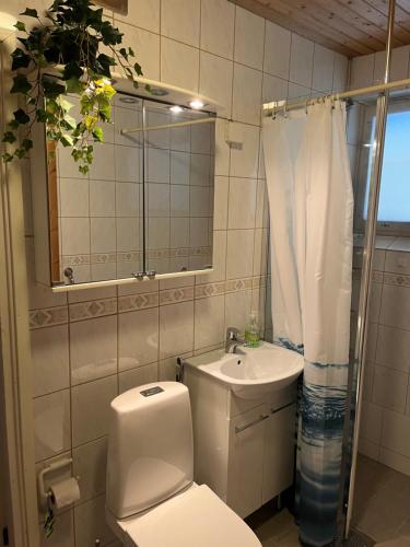 a bathroom with a toilet and a sink and a mirror at After Work Escape with sauna and balcony in Joensuu