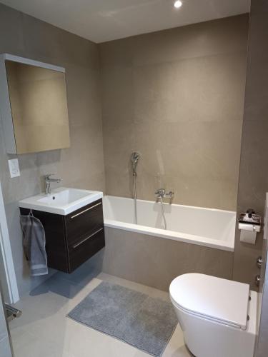 Un baño de Modernes Apartment in Basel-Stadt