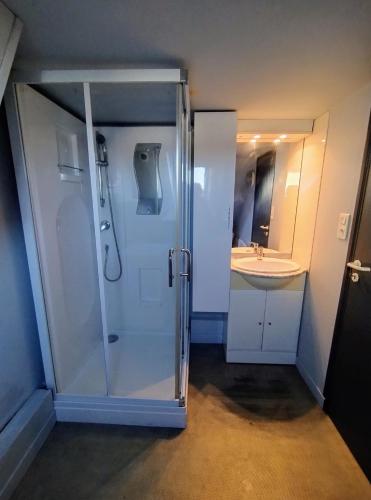 une salle de bain avec douche et lavabo dans l'établissement STUDIO MEUBLE professionnel Fruges, à Fruges