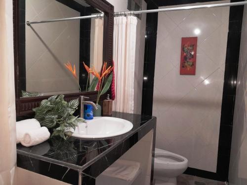 a bathroom with a sink and a toilet at Pondok Dauh Ancak Kelating Guest House in Krambitan