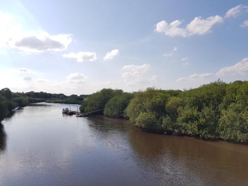 a river with boats in the water and trees at Gasthof Bucksande in Apen