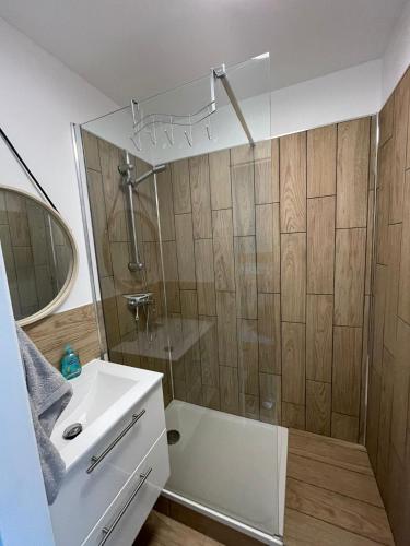 une salle de bain avec une douche, un lavabo et un miroir dans l'établissement Joli studio cabine centre port la baleine rose, au Cap d'Agde
