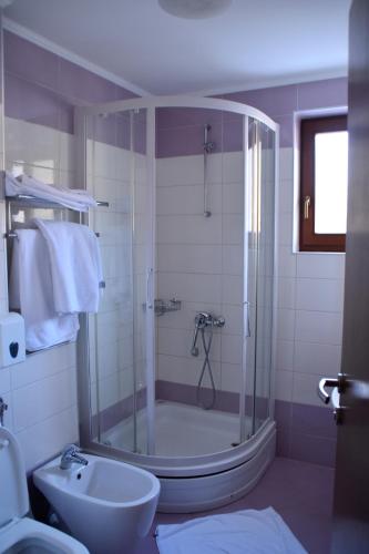 a bathroom with a shower and a sink at Hotel Millennium in Pogradec