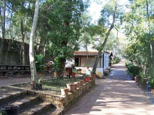 a street with a house and trees and a building at Residencial Boavistense by Umbral in Odemira
