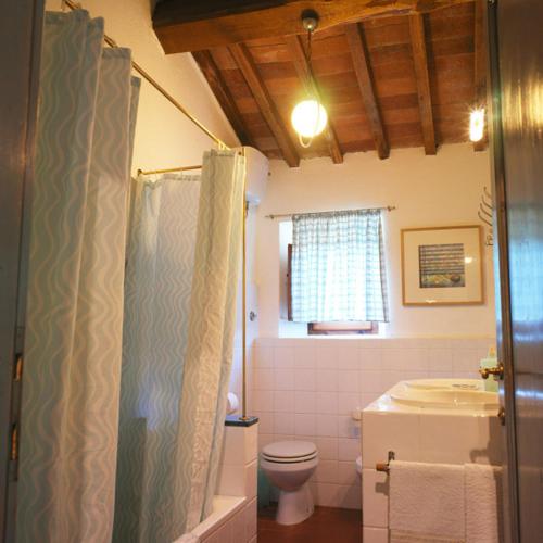 a bathroom with a shower and a toilet and a sink at Casa Ercole Farm Stay in Greve in Chianti