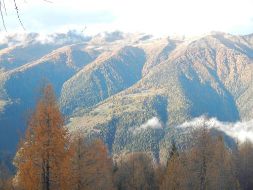 a view of a mountain with trees and mountains at Villetta Val Di Sole in Commezzadura